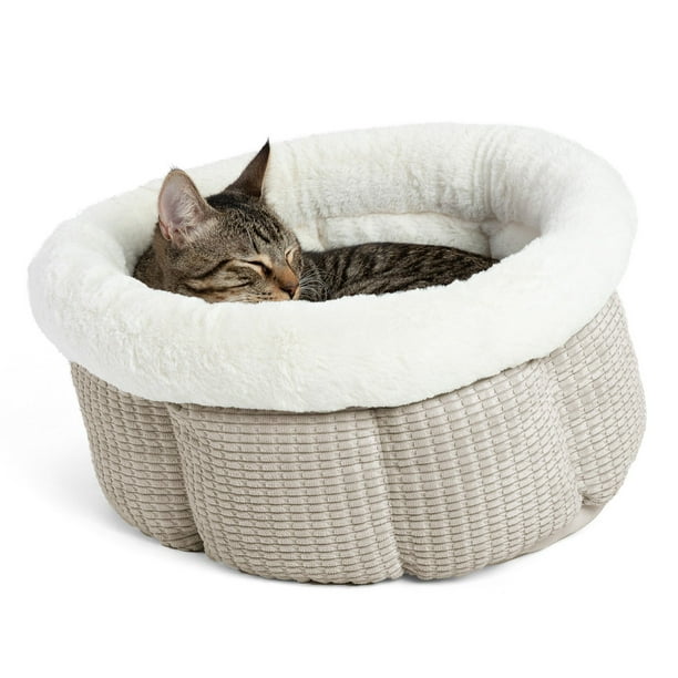 InterestPrint 47 x 47 Inch Polyester Soft Fleece Blanket for Sofa Bed Cute Tea Mug Neko Cats 
